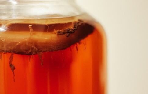 Kombucha in Glass Container