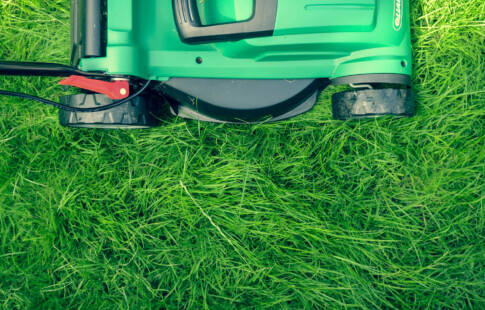 lawnmower on green grass