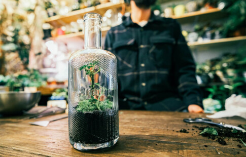 person who made a terrarium from a gin bottle