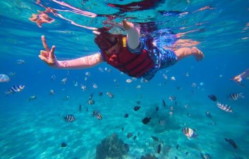 Person Snorkeling With Fish