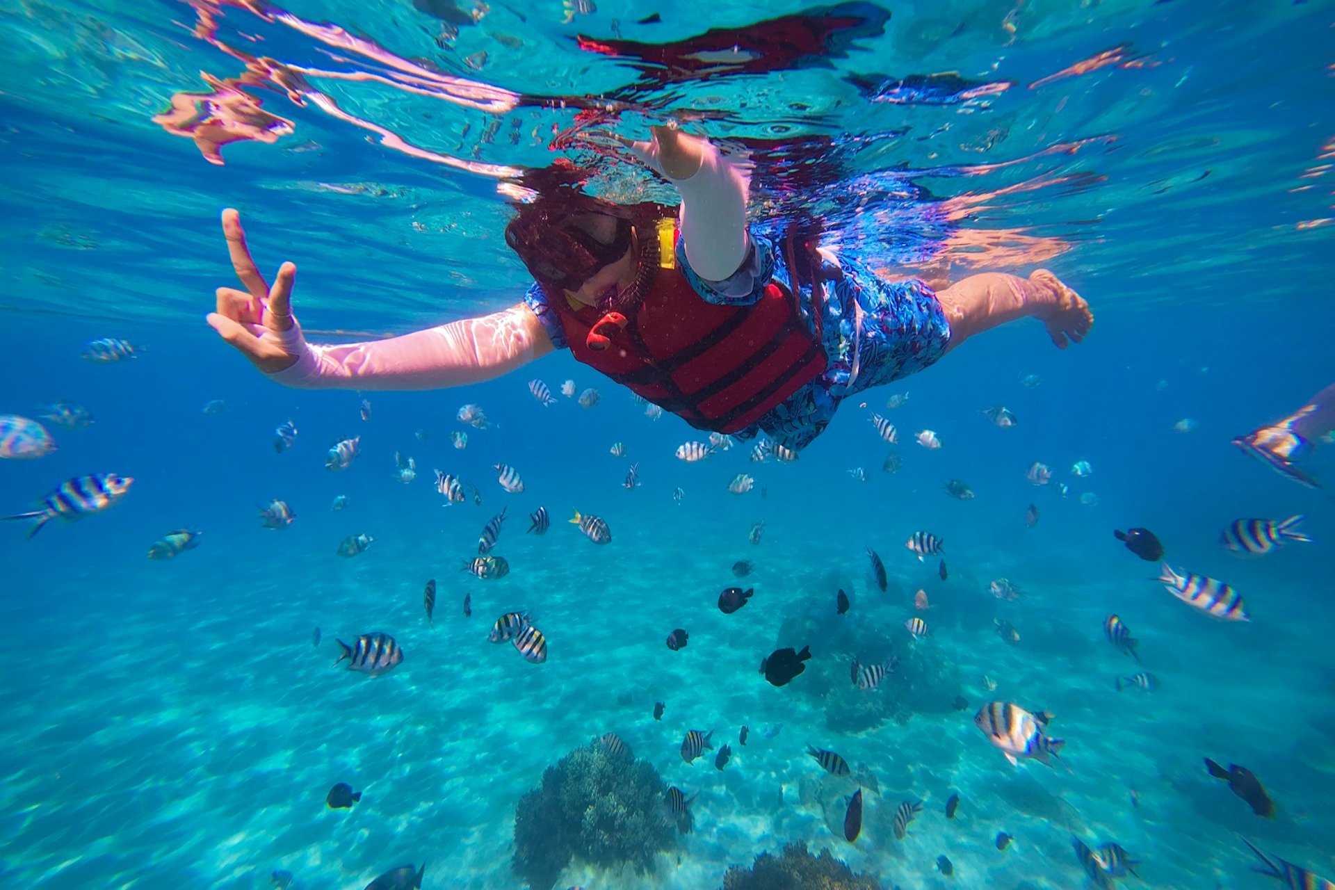 Person Snorkeling With Fish