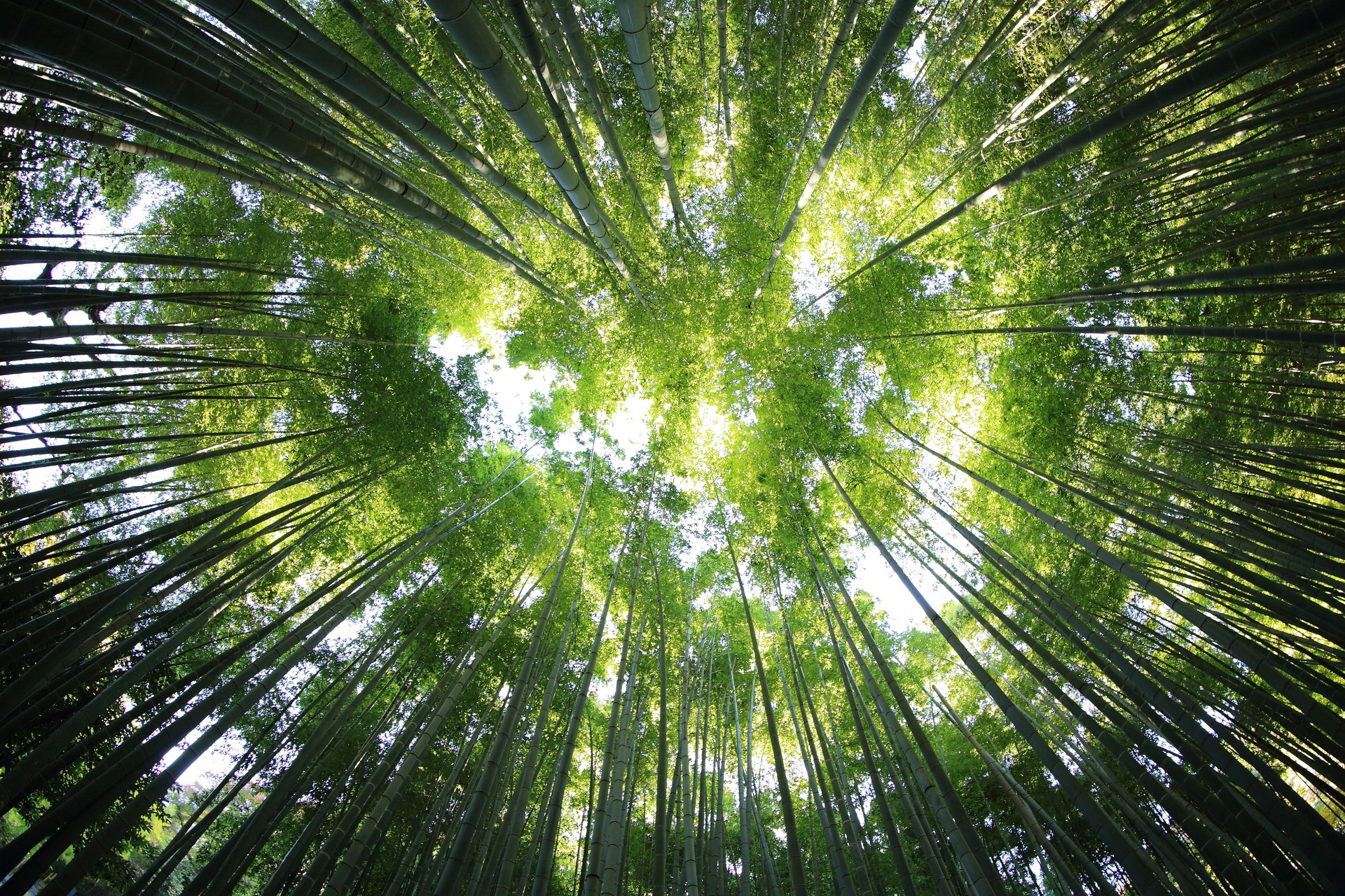 kazuend-19SC2oaVZW0-unsplash (1)