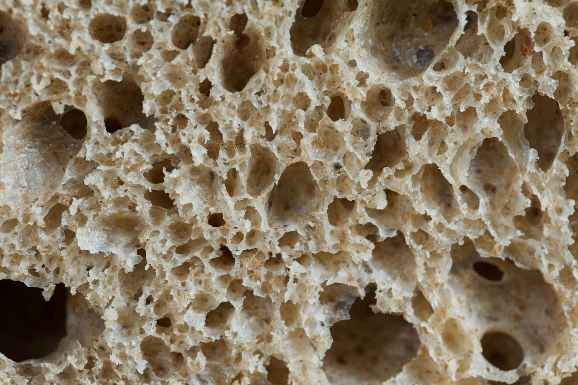 close up of bread air pockets