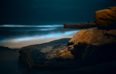 bioluminescent waves at sea