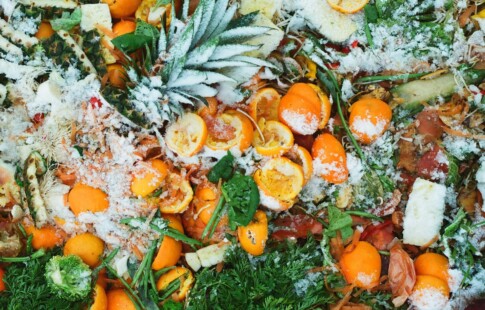 lessening food waste can contribute to a sustainable food system