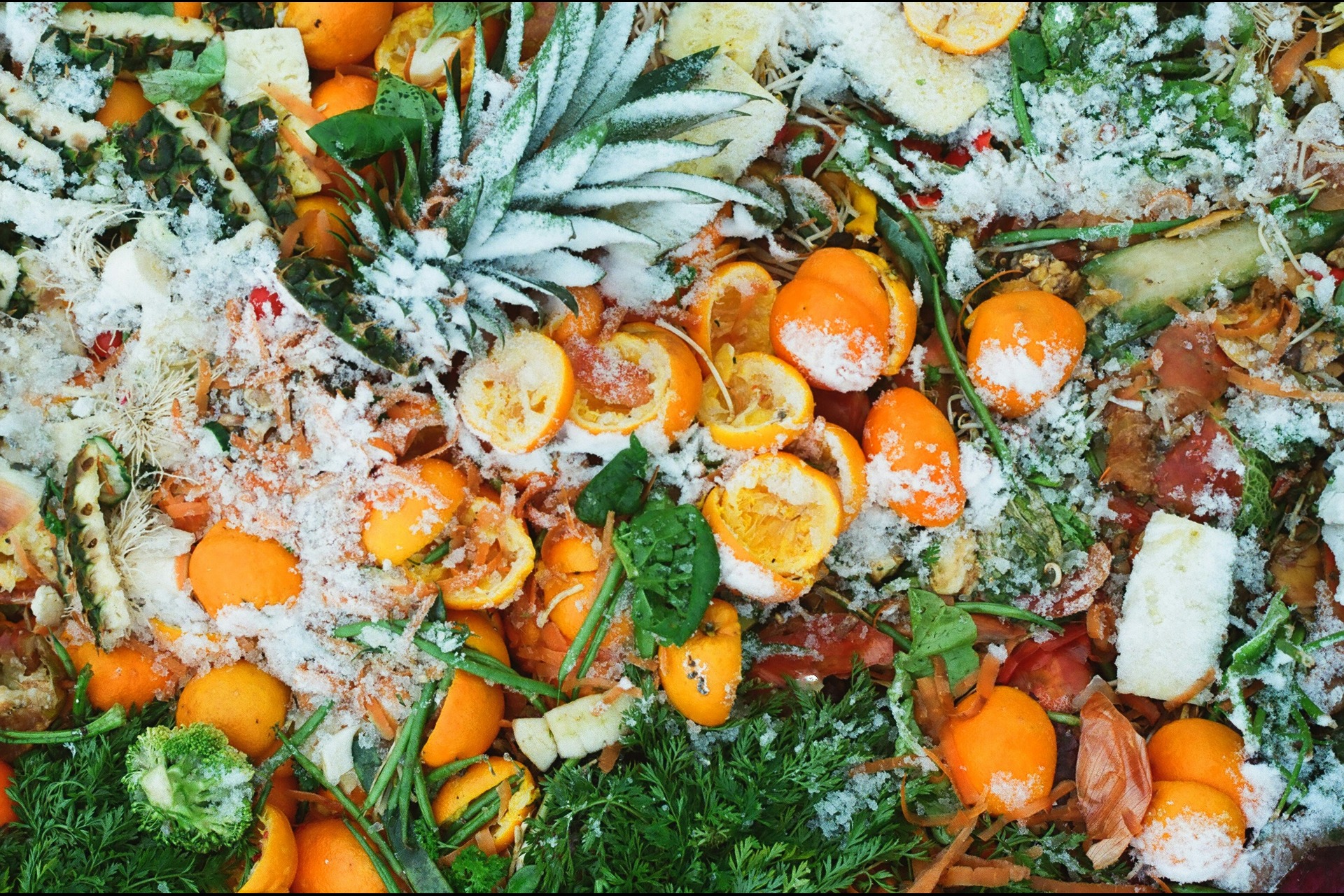 lessening food waste can contribute to a sustainable food system