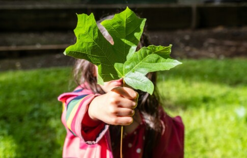 little girl holding a leaf