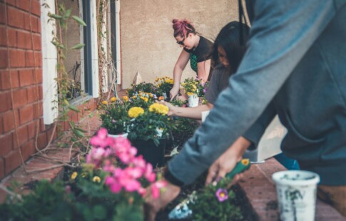 People planting a garden