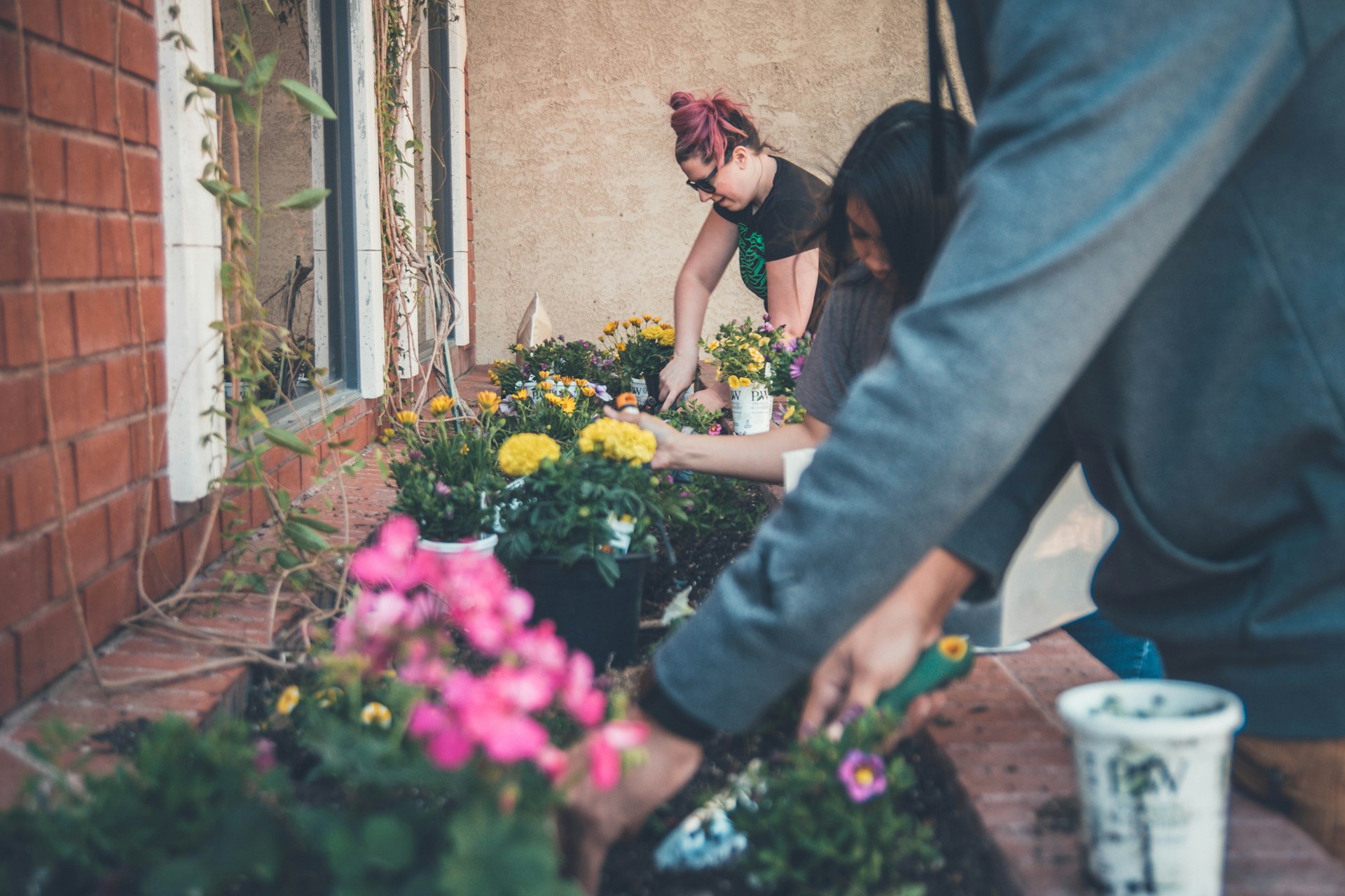 People planting a garden