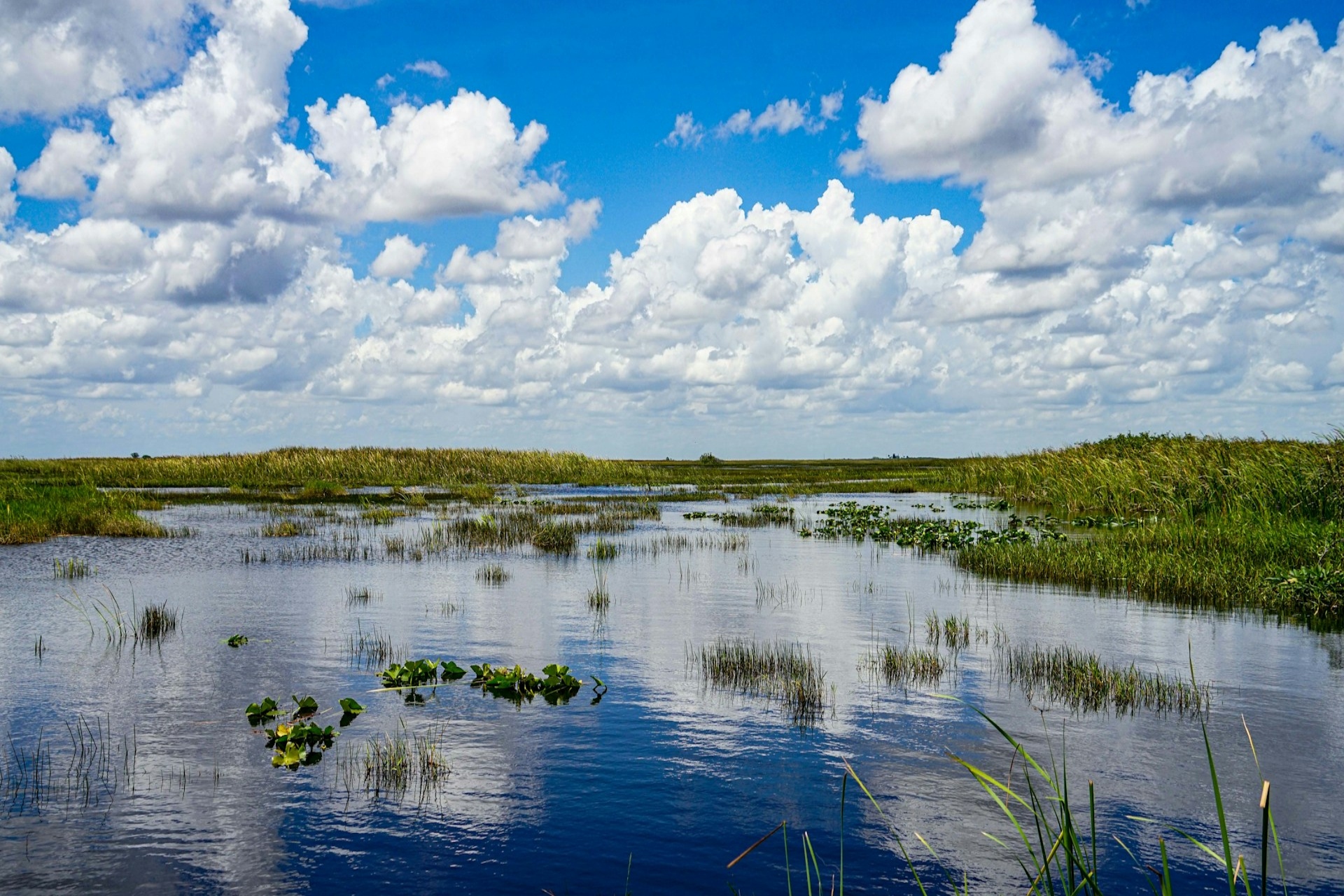 Everglades National Park in Florida