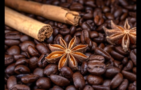 spices to add to coffee for weight loss