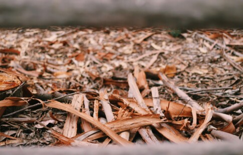 dried leaves in compost for lasagna gardening