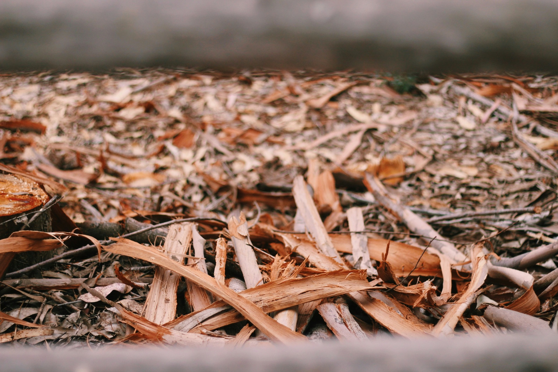 dried leaves in compost for lasagna gardening