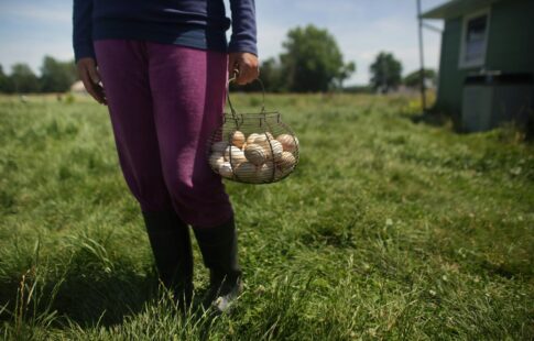 Learning how to homestead with no money often means keeping a tight budget.
