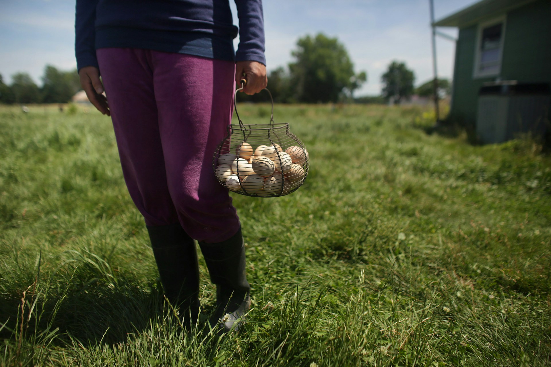 Learning how to homestead with no money often means keeping a tight budget.