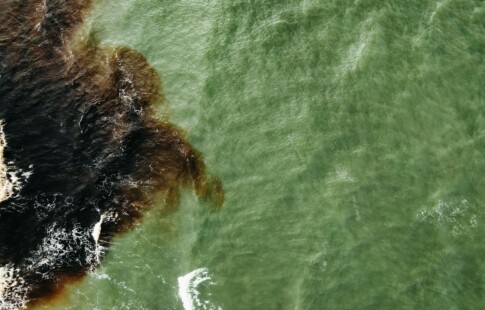 oil spill in water