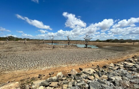 a dried up lake that looks like a dirt field with rocks and a tree