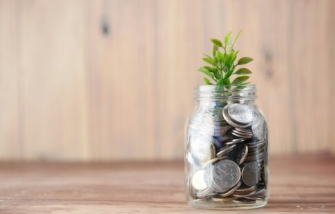 jar with coins in it with a small plant