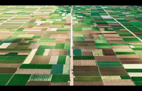 aerial image of patches of green farm land